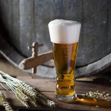 Dartington Brew Craft Pilsner Lager Glass - Cook N Dine