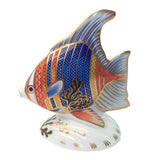 Royal Crown Derby Pacific Angel Fish Paperweight - Cook N Dine