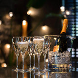 Dartington Prosecco Party Glasses, Set of 6 - Cook N Dine