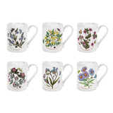 Portmeirion Botanic Garden Coffee Mug Set of 6