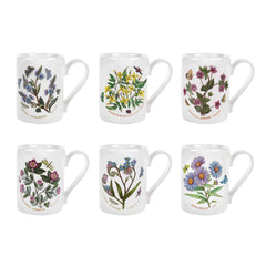 Portmeirion Botanic Garden Coffee Mug Set of 6