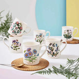 Portmeirion Botanic Garden Breakfast Mug