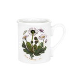 Portmeirion Botanic Garden Breakfast Mug Set of 6