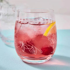 Portmeirion Botanic Garden Crystal Tumblers Set of 4