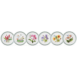 Portmeirion Exotic Botanic Garden Side Plate, Set of 6 - Cook N Dine