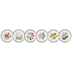 Portmeirion Exotic Botanic Garden Side Plate, Set of 6