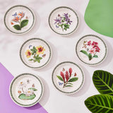 Portmeirion Exotic Botanic Garden Side Plate Set of 6 - Cook N Dine