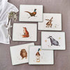 Pimpernel for Royal Worcester Wrendale Designs Placemats Set of 6
