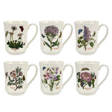 Portmeirion Botanic Garden Flared Tankard Set of 6