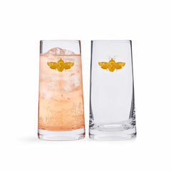 Spode Creatures of Curiosity Highball, Set of 2