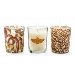 Spode Creatures of Curiosity Votives, Set of 3