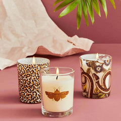 Spode Creatures of Curiosity Votives, Set of 3