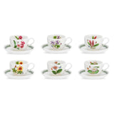 Portmeirion Exotic Botanic Garden Teacup & Saucer