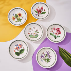 Portmeirion Exotic Botanic Garden Pasta Bowl, Set of 6