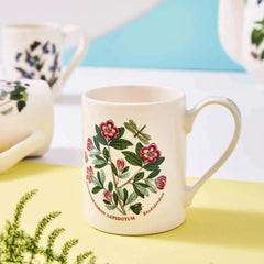 Portmeirion Botanic Garden Coffee Mug