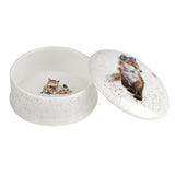 Royal Worcester Wrendale Designs Born to be Wild Fox Lidded Box