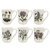 Portmeirion Botanic Garden Flared Tankard, Set of 6 - Cook N Dine