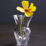 Waterford Crystal Exclusive Posy Vase - Cook N Dine