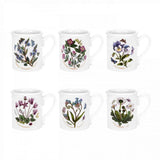 Portmeirion Botanic Garden Breakfast Mug 9oz, Set of 6 - Cook N Dine